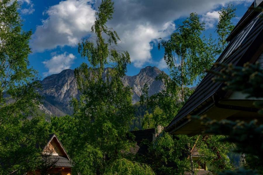 Apartment Bordeaux Szymoszkowa Residence Zakopane コシチェリスコ エクステリア 写真